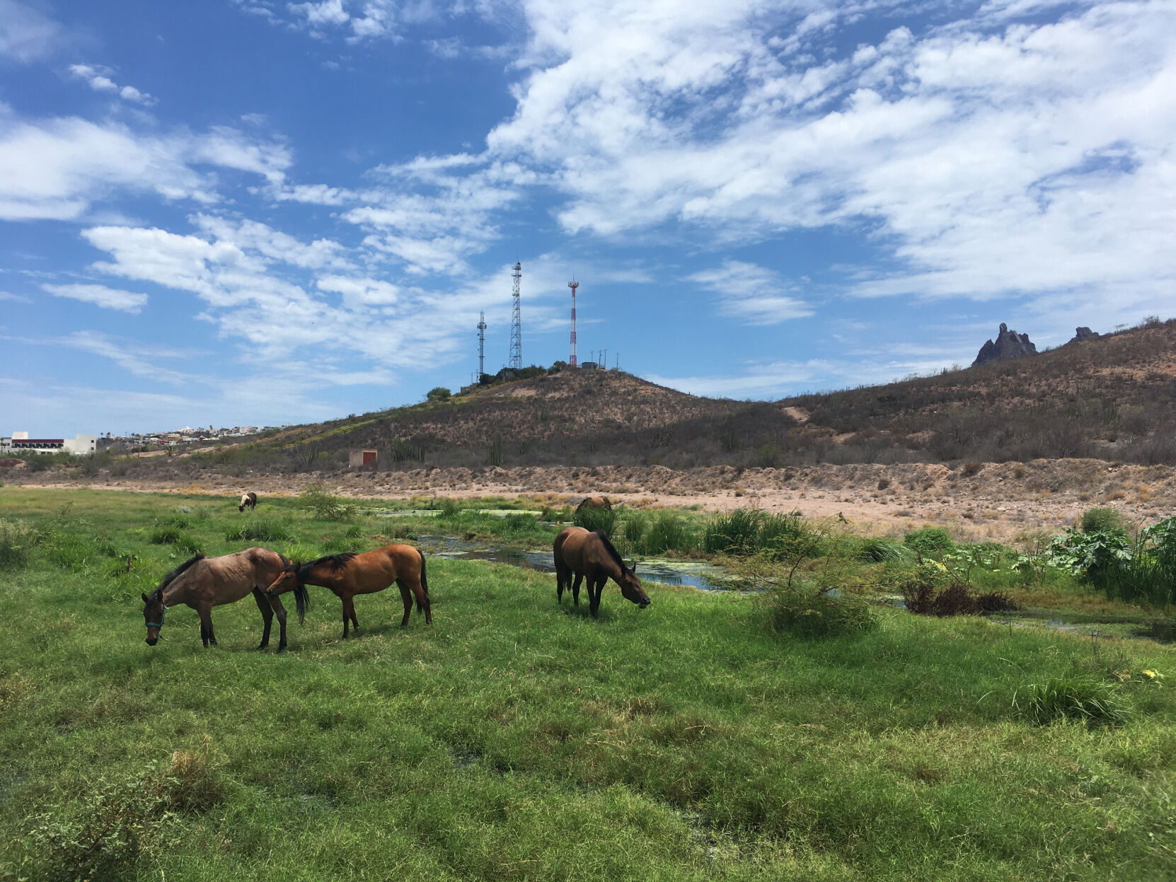 San Carlos, Guaymas, sewage, 2021